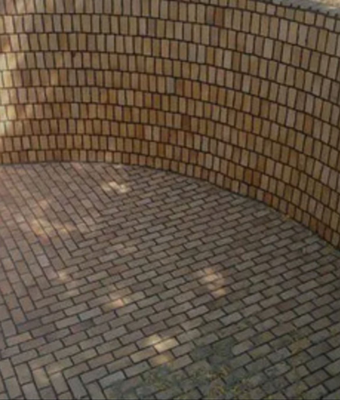Refractory Brick Lining Service Provider in India